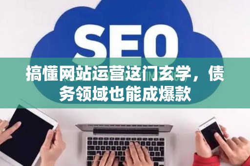 搞懂网站运营这门玄学，债务领域也能成爆款