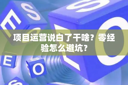 项目运营说白了干啥？零经验怎么避坑？