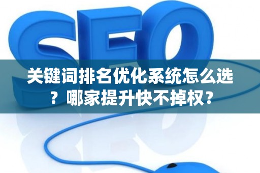 关键词排名优化系统怎么选？哪家提升快不掉权？