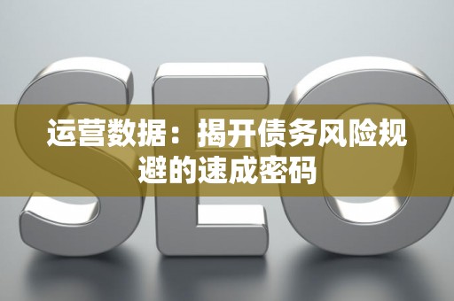 运营数据：揭开债务风险规避的速成密码